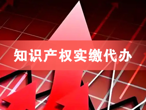 白城知识产权实缴资本代办